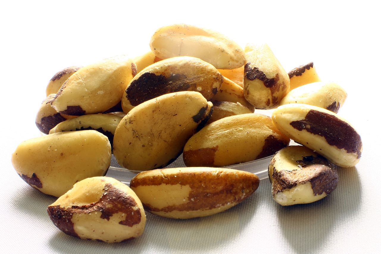 brazil nuts, acrid chestnut, i will play-638972.jpg